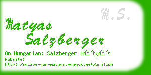 matyas salzberger business card